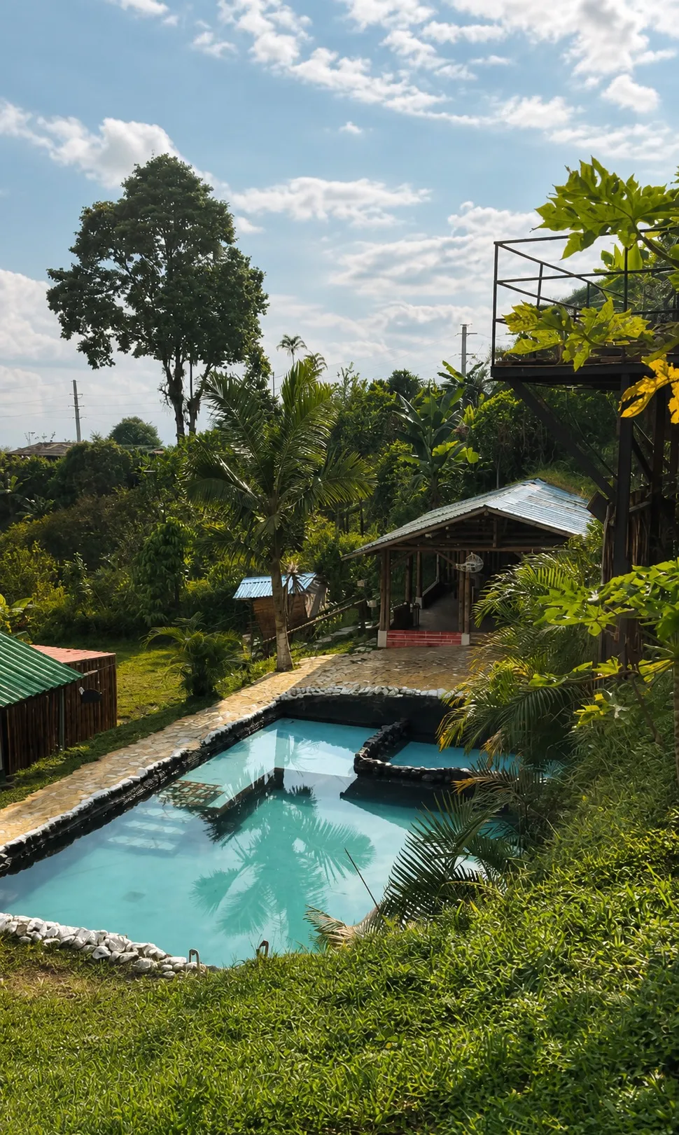 Piscina al aire libre rodeada de vegetación en el glamping